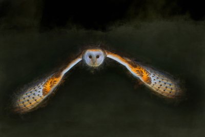 Night Flight by Helen White